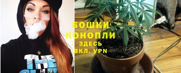 ПСИЛОЦИБИНОВЫЕ ГРИБЫ Заводоуковск