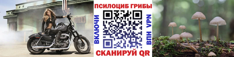 хочу наркоту  Иланский  Псилоцибиновые грибы Cubensis 