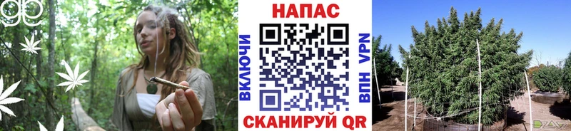 Канабис VHQ  Иланский 